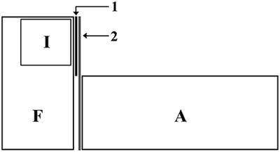 Audience Effects in Territorial Defense of Male Cichlid Fish Are Associated with Differential Patterns of Activation of the Brain Social Decision-Making Network